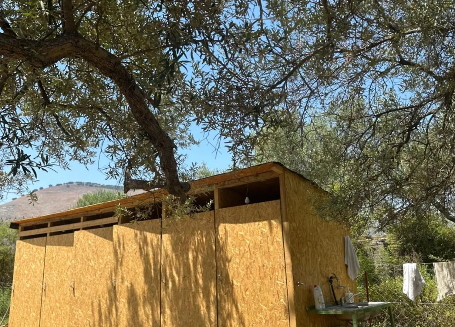 Camping צ'פרו אתר קמפינג
